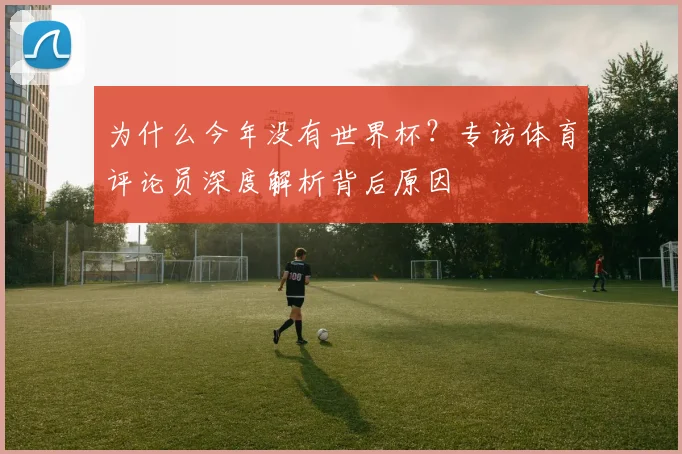 为什么今年没有世界杯?专访体育评论员深度解析背后原因