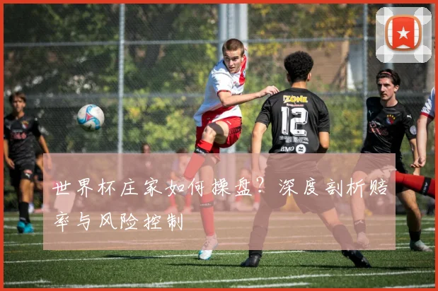 世界杯庄家如何操盘？深度剖析赔率与风险控制